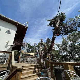 a deck with chairs and a tree