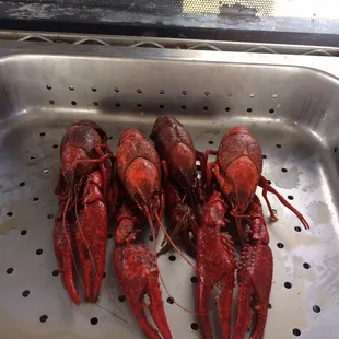 a tray of cooked lobsters