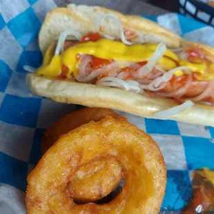 a hot dog and onion rings