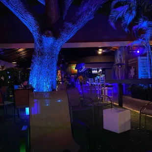 Bar Area