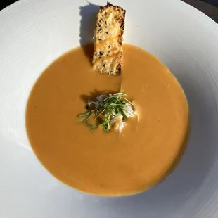 Lobster Bisque