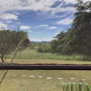 View from guest house master