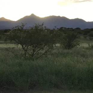 View from front of property