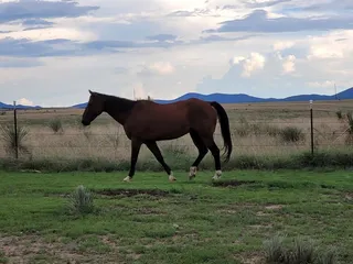 Rancho Milagro Bed & Breakfast