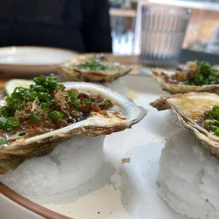 Grilled oysters, the best