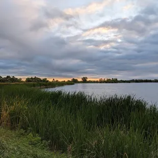 Instagram: @telephonesmoothie