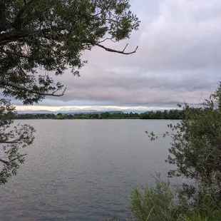 Instagram: @telephonesmoothie