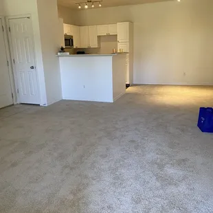 Living room/dining room