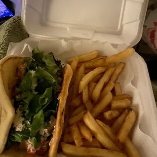 Chicken Gyro w/ French Fries