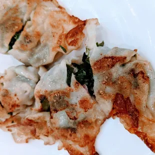 Fried Pork and Chive Dumpling