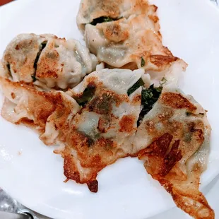 Fried Pork and Chive Dumpling