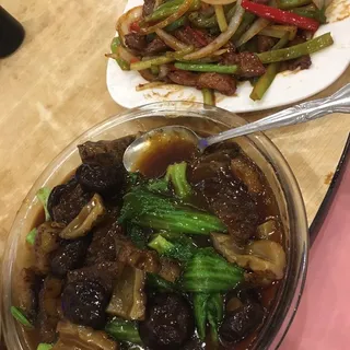 Sea Cucumber with Black and White Fungus