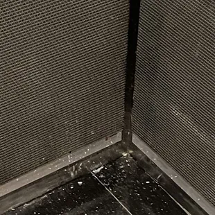 Vomit or food on elevator for multiple days