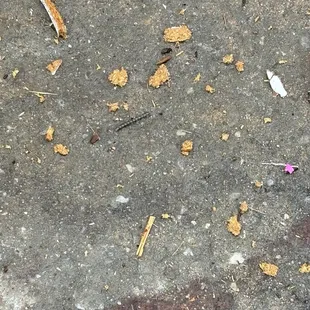 More nails left to be ran over