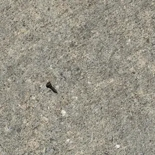 Even more nails and screws to tear your tires up