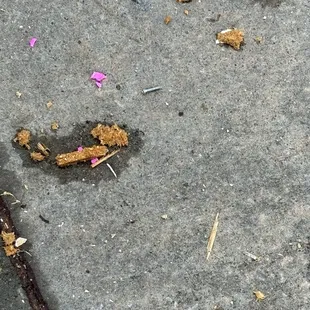 They break apart furniture and pallets leaving nails for you TO RUN OVER!!!