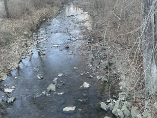 Line Creek Trail