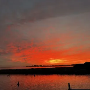 View from the crow's nest