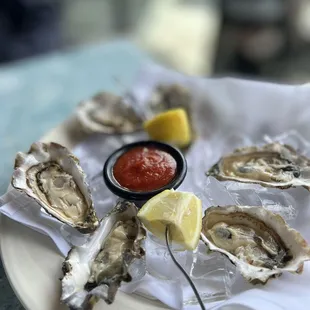 a plate of oysters