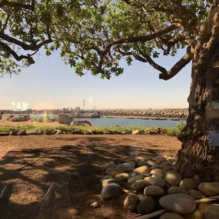 View from our window (ground floor)