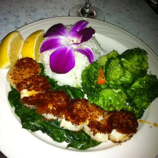 Nova Scotia Sea Scallops