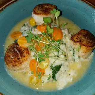Cast Iron Seared Scallops