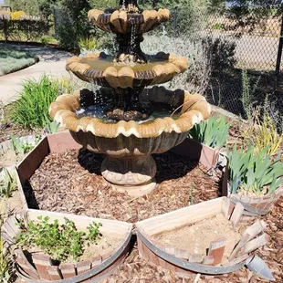 Fountain by the tasting room. March 2024.