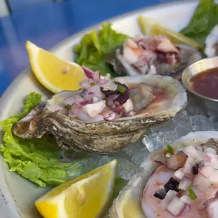 oysters and mussels, food, mussels, oysters, shellfish