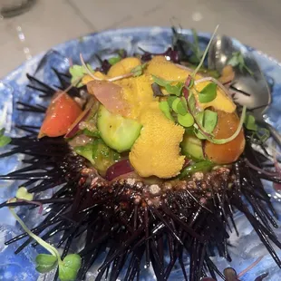 Uni Ceviche