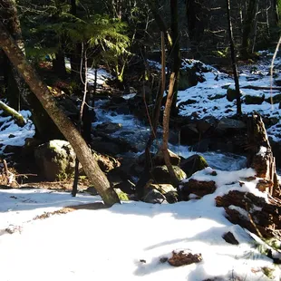 wanna go to the snow...I can help organize a special getaway.