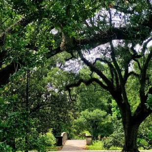 New Orleans Audubon Park