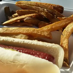 Kids hotdog and fries 3.95.