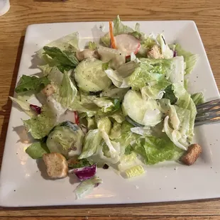 Salad with excellent Garlic Dressing