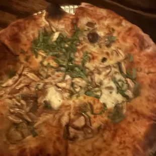 Mushroom Pizza