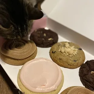 SO GOOD even my Cat wants to eat them!!