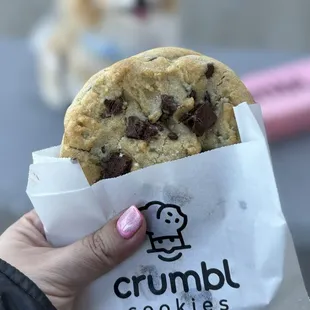 Free Chocolate Chip Cookie on Grand Opening Day!