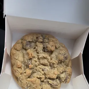 Chocolate chip cookie