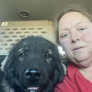 Kathy S.