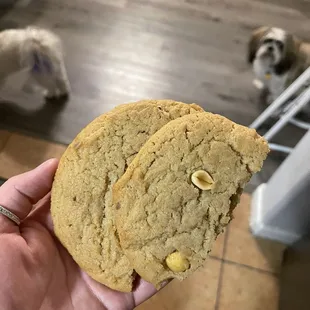 Snicker cookie with no toppings