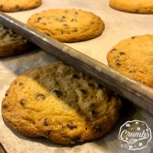 Chocolate Chip Cookies