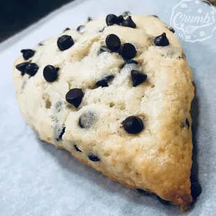 Chocolate Chip Scone