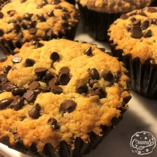 Chocolate Chip Muffin