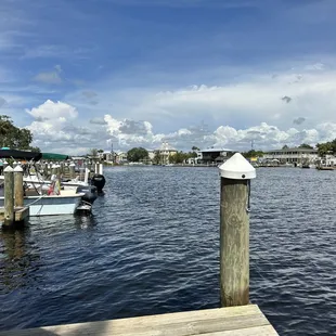 View of the Homosassa river from my table