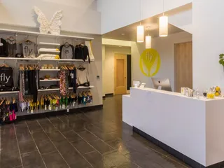 FLY - A Fitness Revolution