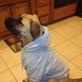 B C.