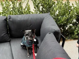 Evolve Brewing by Aces & Ales