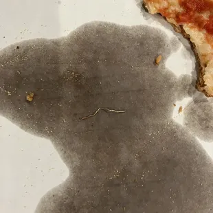 Metal in pizza