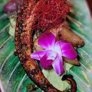 Grilled Octopus