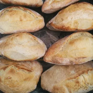 Organic white sourdough