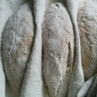 Loaves proofing in a couche.
